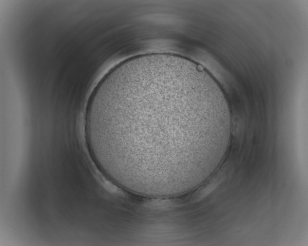 X0000111131094200907071013