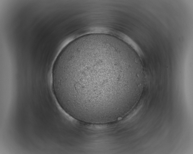 X0000111131095200907071013