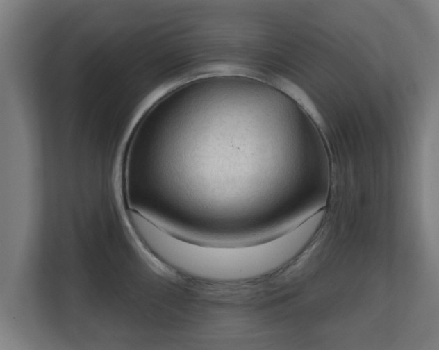 X0000111131098200907071013