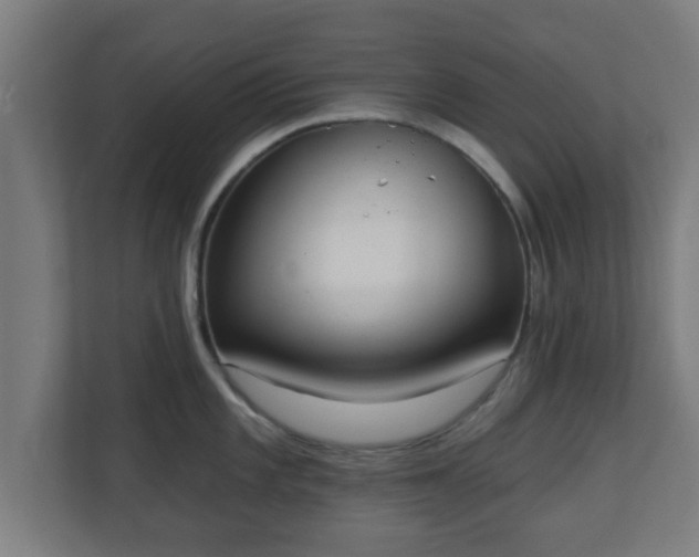 X0000111131101200907071013