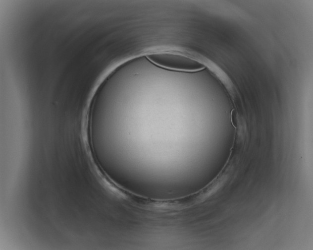 X0000111131102200907071012