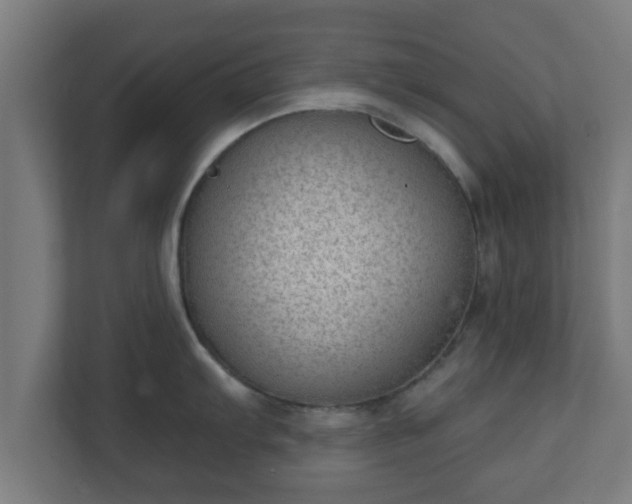 X0000111131103200907071012