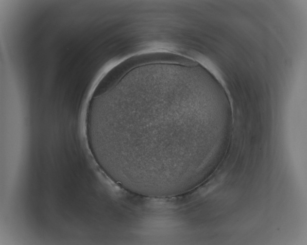 X0000111131104200907071012