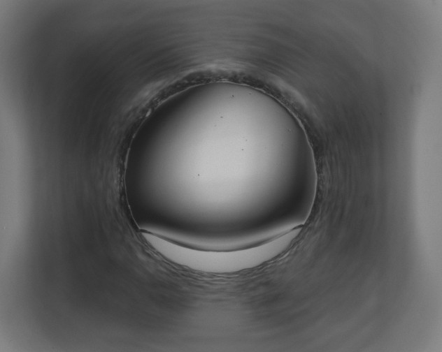 X0000111131110200907071012