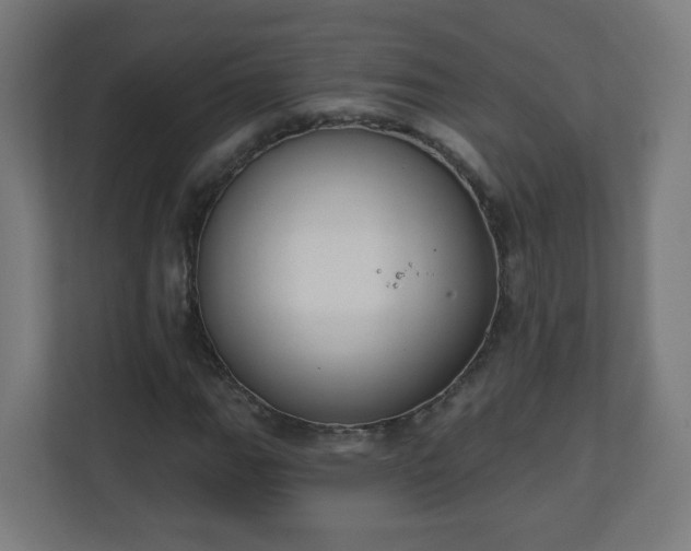 X0000111131111200907071012