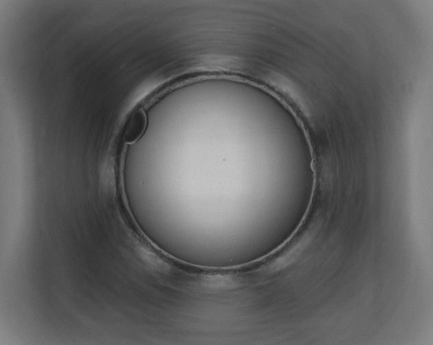 X0000111131114200907071012