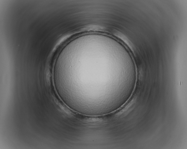 X0000111131115200907071012