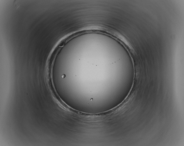 X0000111131116200907071012