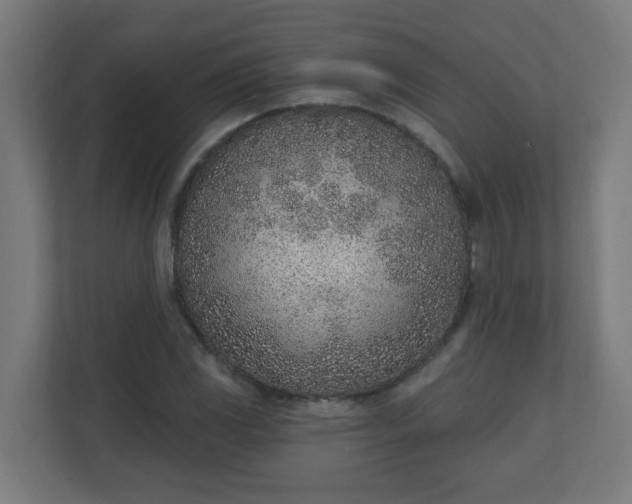 X0000111131117200907071012
