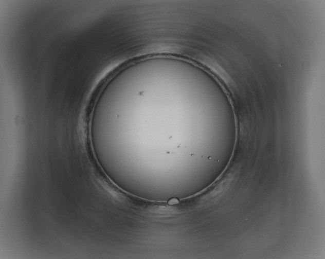X0000111131119200907071012