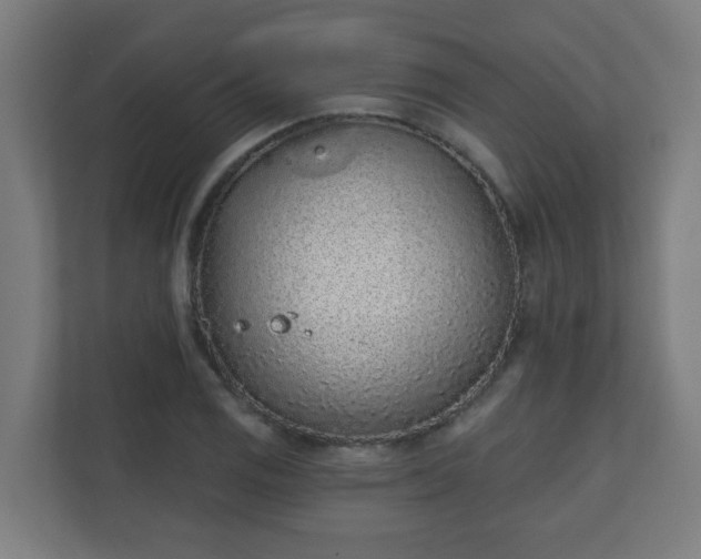 X0000111131125200907071012