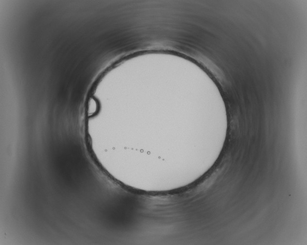 X0000111131126200907071012