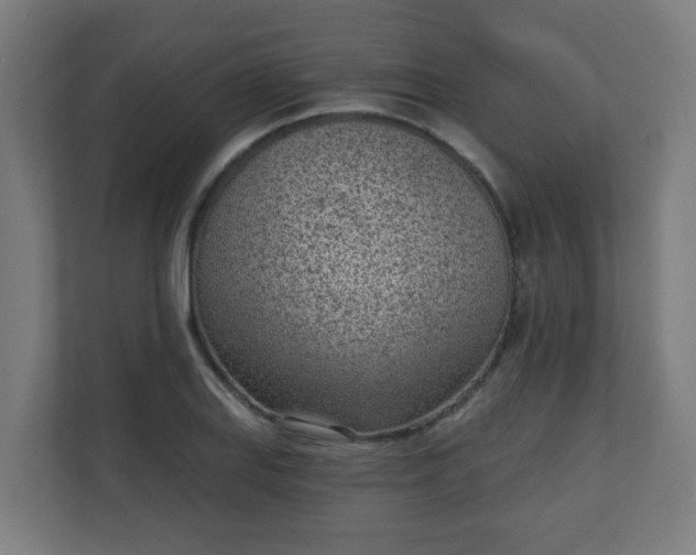 X0000111131127200907071012