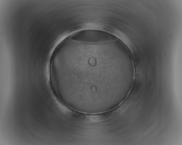 X0000111131128200907071012
