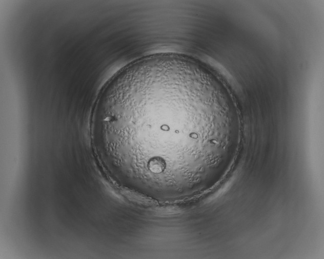 X0000111131129200907071012
