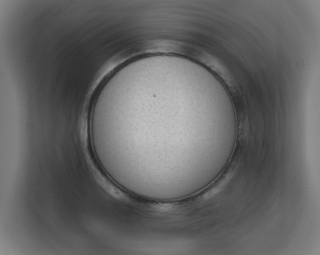 X0000111131130200907071012