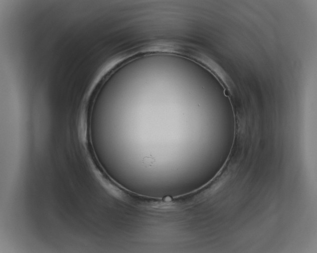 X0000111131131200907071012
