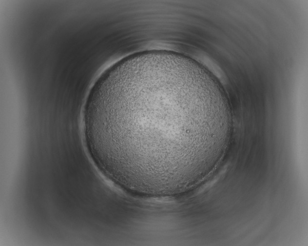 X0000111131133200907071012