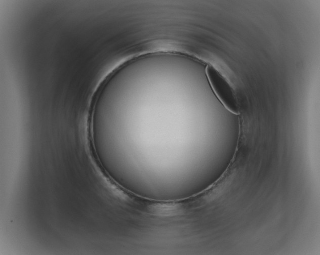 X0000111131134200907071012