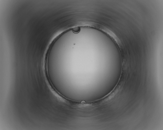 X0000111131135200907071012