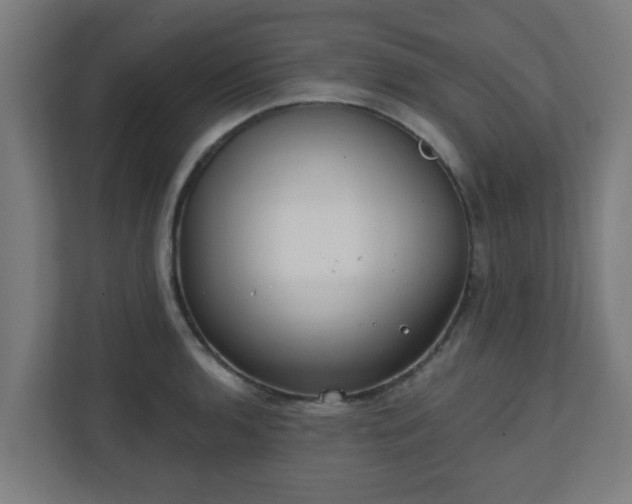 X0000111131136200907071012