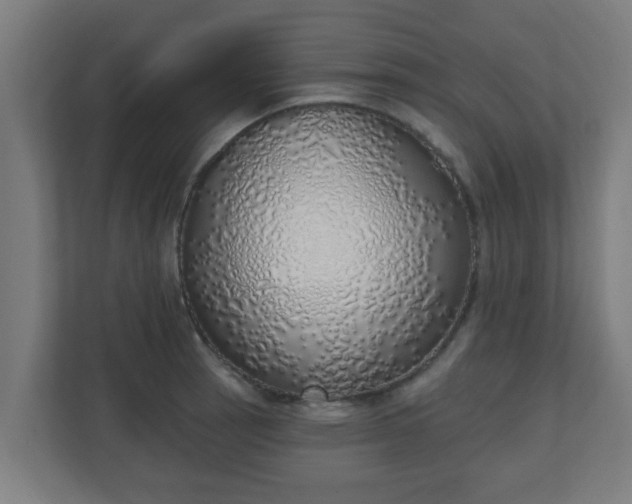 X0000111131137200907071012