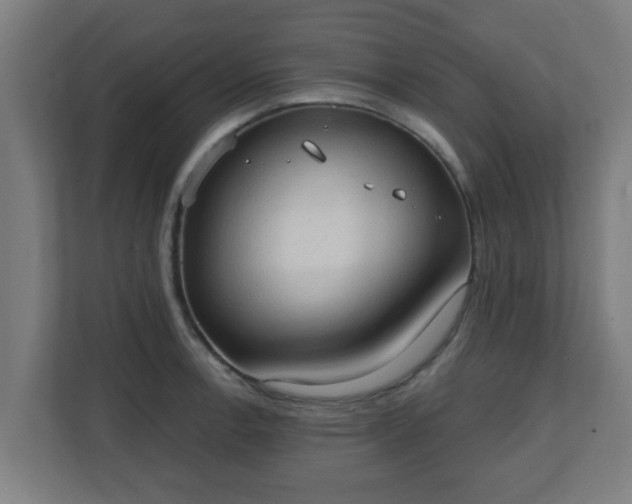 X0000111131138200907071012