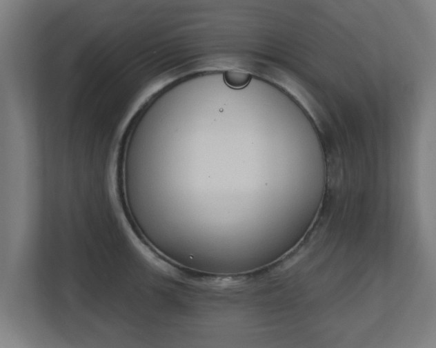 X0000111131139200907071012