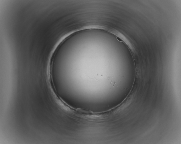 X0000111131140200907071012
