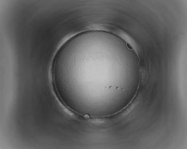 X0000111131141200907071012