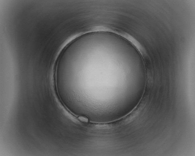 X0000111131142200907071012