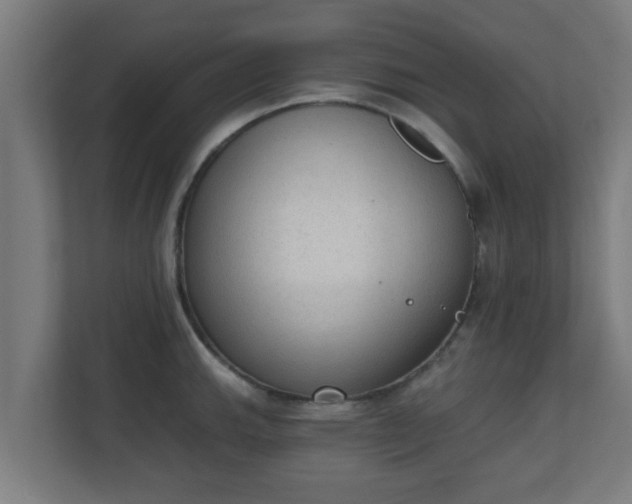 X0000111131143200907071012