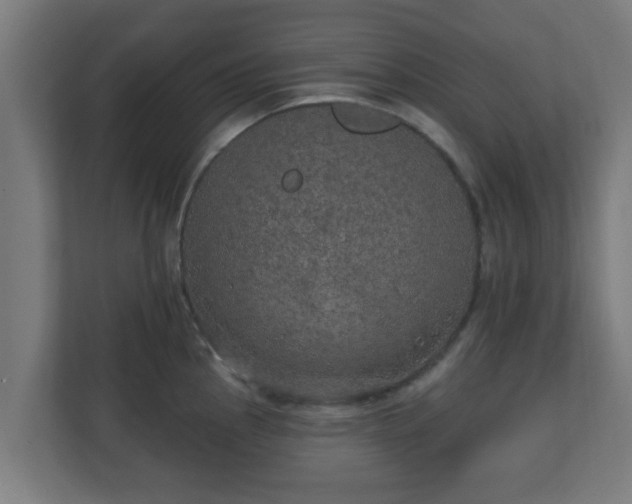 X0000111131145200907071012