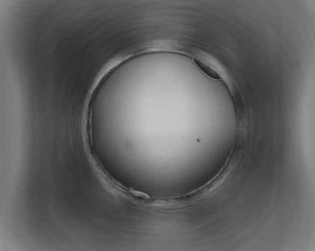 X0000111131146200907071012