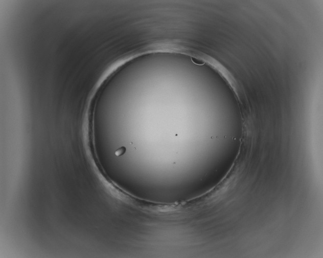 X0000111131147200907071012