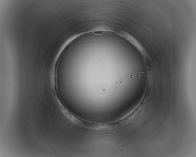 X0000111131148200907071012