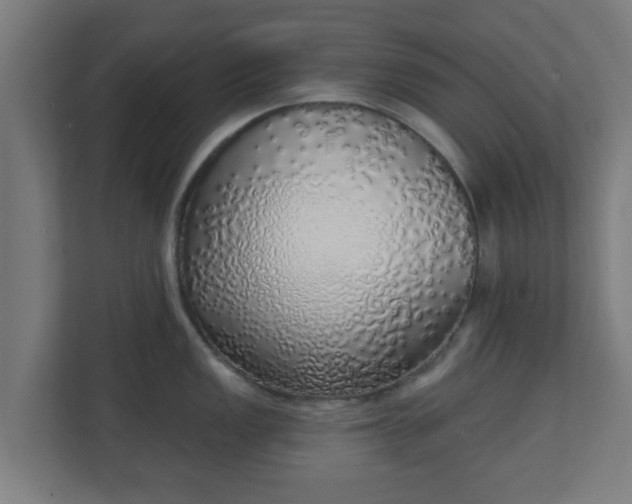 X0000111131149200907071012