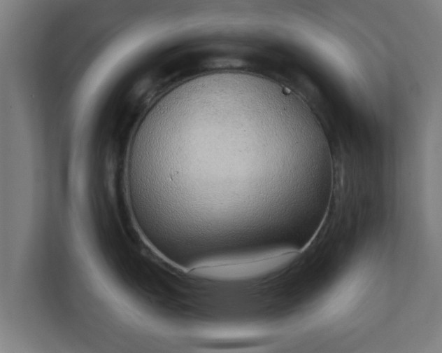 X0000111131151200907071012