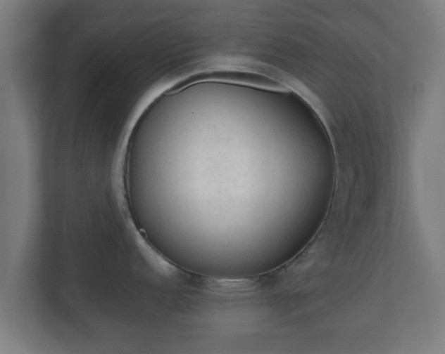 X0000111131152200907071012