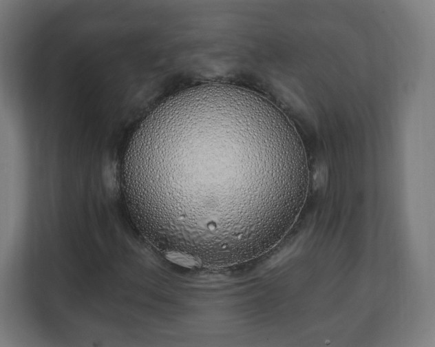 X0000111131156200907071012