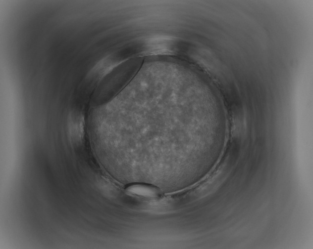 X0000111131161200907071012