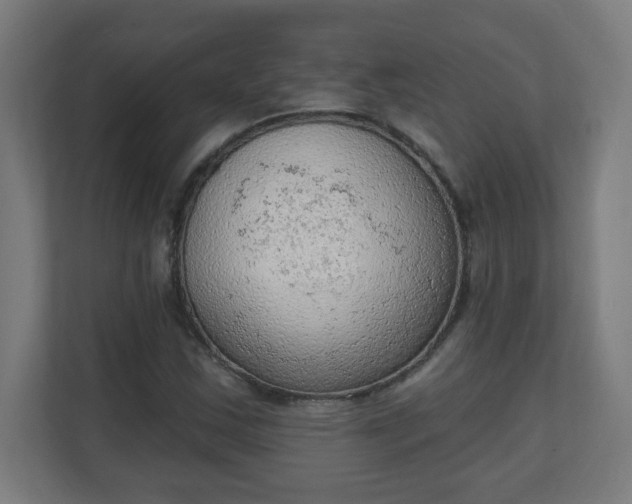 X0000111131163200907071012