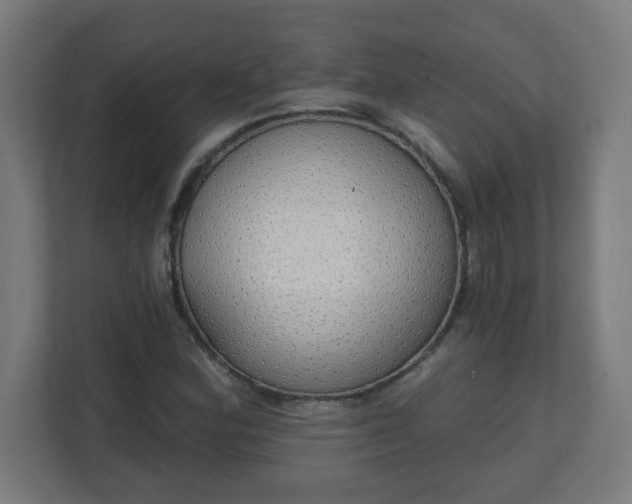 X0000111131164200907071012