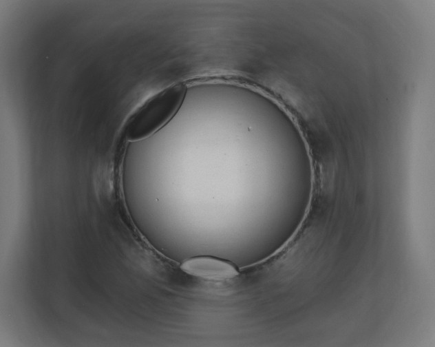 X0000111131165200907071012