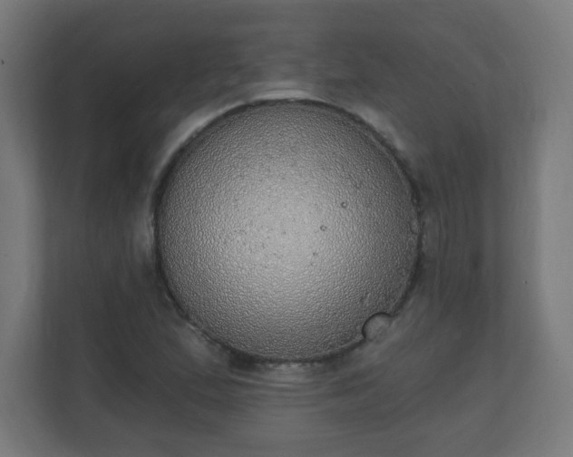 X0000111131167200907071012