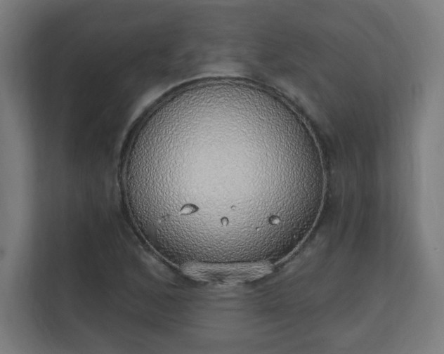 X0000111131168200907071012