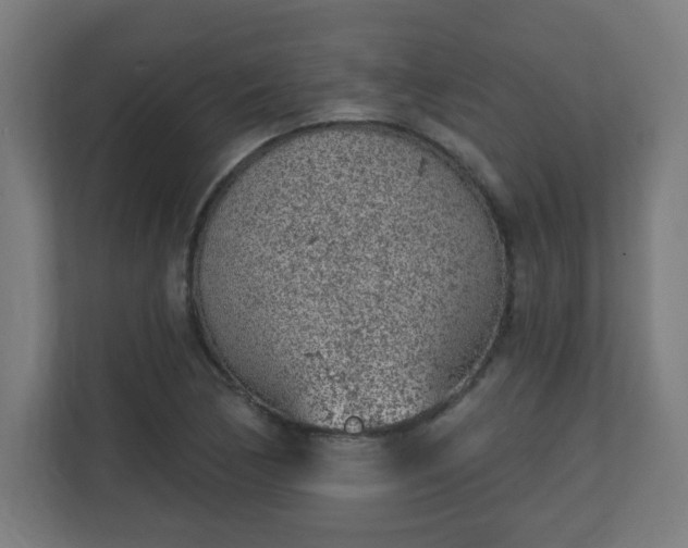 X0000111131170200907071012