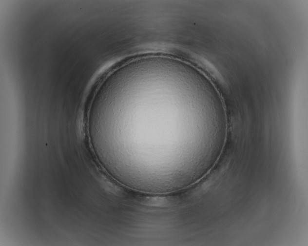 X0000111131172200907071012
