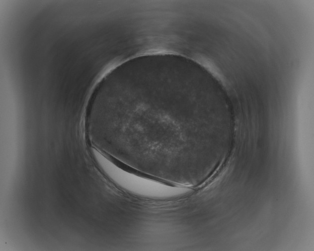 X0000111131173200907071012