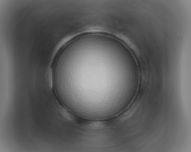 X0000111131175200907071012
